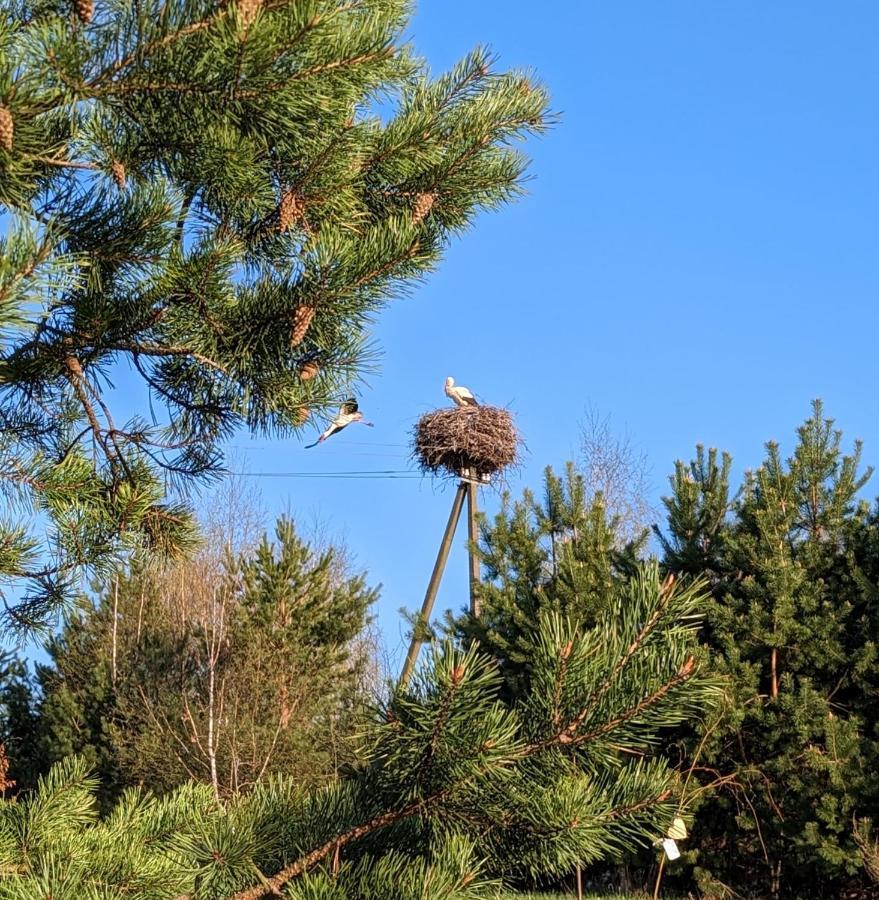 Vila Vynuogyne Paberze Exteriör bild